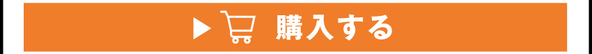 
	  イヤホンを購入する