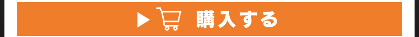 ワイヤレスイヤホンを購入する