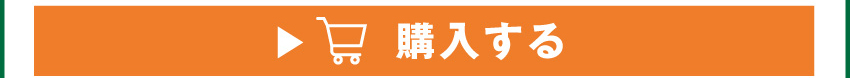 ワイヤレスイヤホンを購入する
