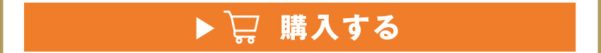 
	  イヤホンを購入する