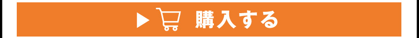 ワイヤレスイヤフォンを購入する