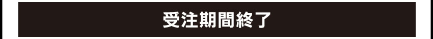 ワイヤレスイヤフォンを購入する