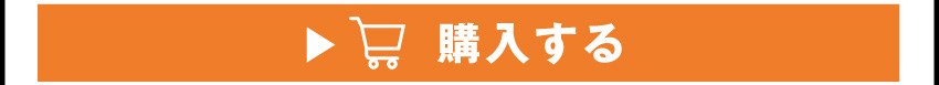 
	  イヤホンを購入する