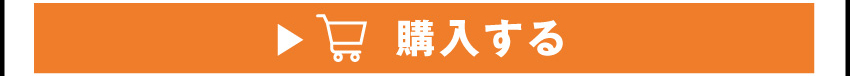
	  イヤホンを購入する