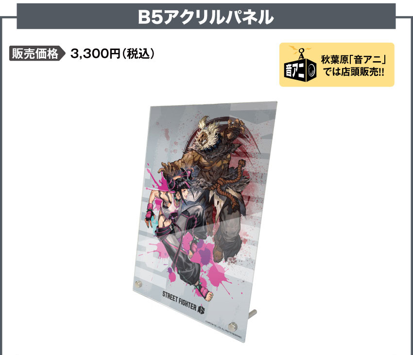 アクリルパネル 価格：3,300円（税・送料別）