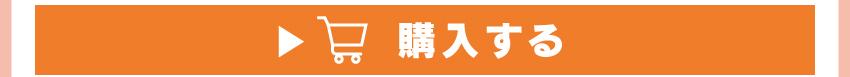 ワイヤレスイヤホンを購入する