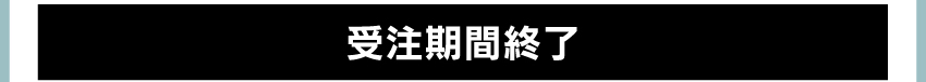 ワイヤレスイヤホンを購入する