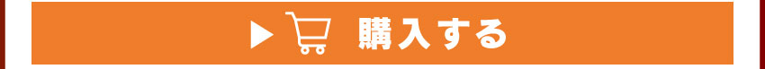 A4クリアファイルを購入する