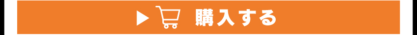 
	  イヤホンを購入する