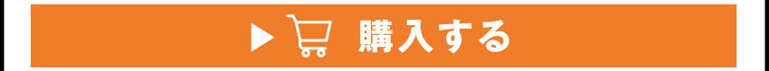 イヤホンを購入する