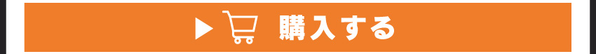 ワイヤレスイヤホンを購入する