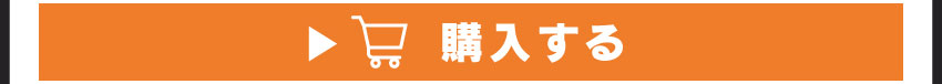 A4クリアファイルを購入する