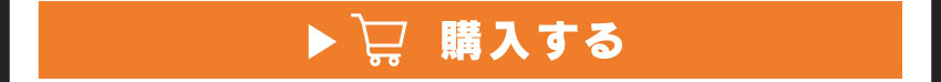 ワイヤレスイヤホンを購入する
