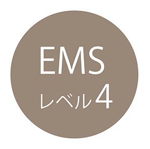 EMSレベル4